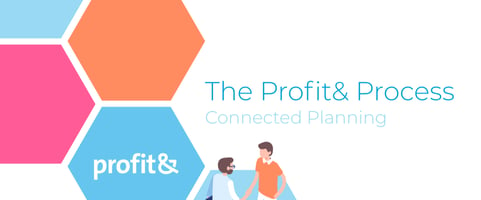 The Profit& Process