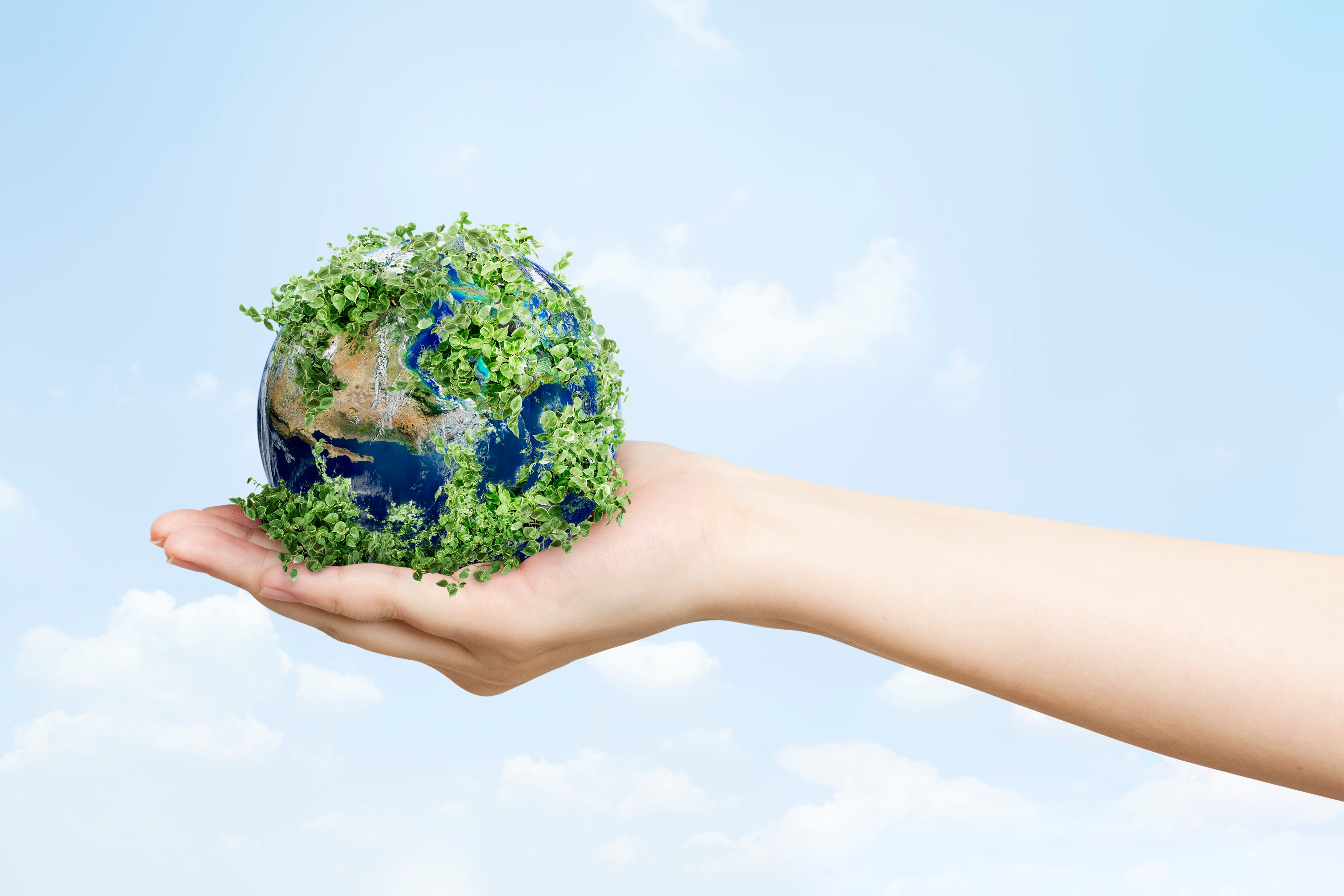 sustainable-living-environmentalist-hand-holding-green-earth